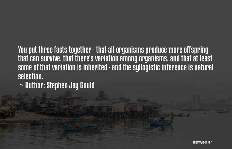 Offspring Quotes By Stephen Jay Gould