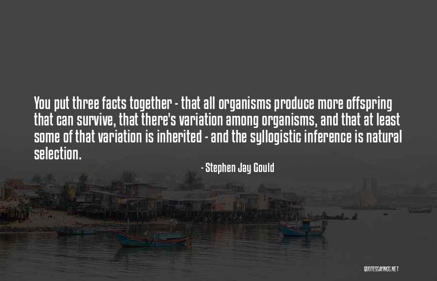 Offspring Quotes By Stephen Jay Gould