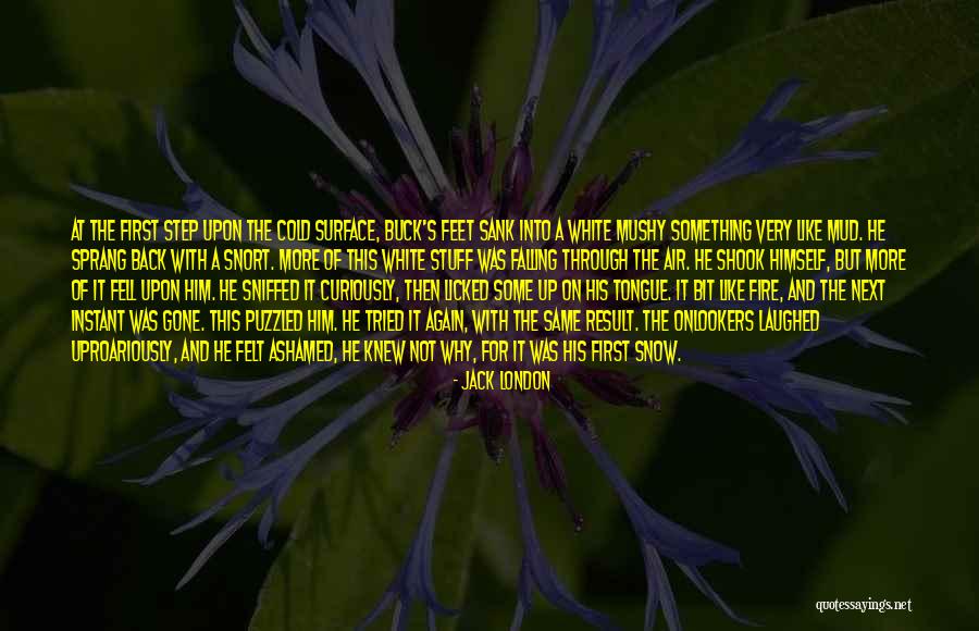 Oficiales Superiores Quotes By Jack London Oficiales Superiores Quotes By Jack London