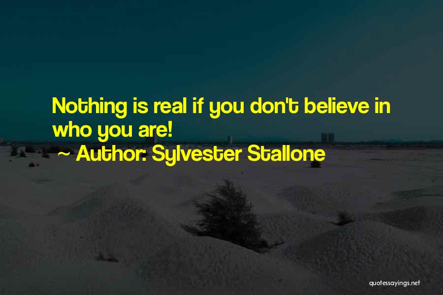 Ofilia Mcquaide Quotes By Sylvester Stallone