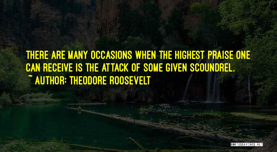 Ofilia Mcquaide Quotes By Theodore Roosevelt