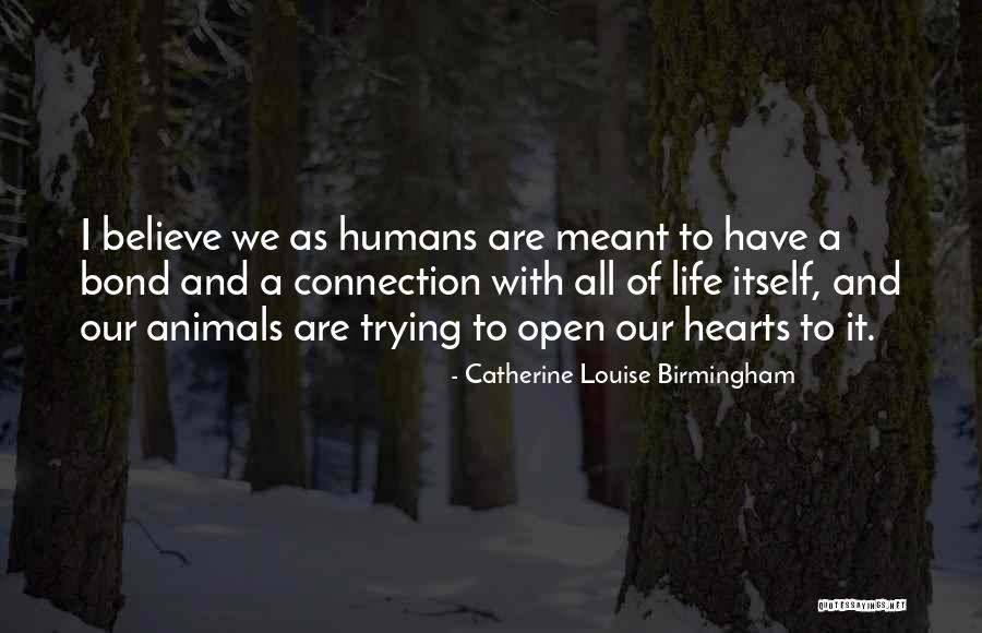 Ofmusic Quotes By Catherine Louise Birmingham Ofmusic Quotes By Catherine Louise Birmingham