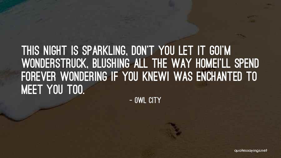 Ofrecio Lleva Quotes By Owl City Ofrecio Lleva Quotes By Owl City
