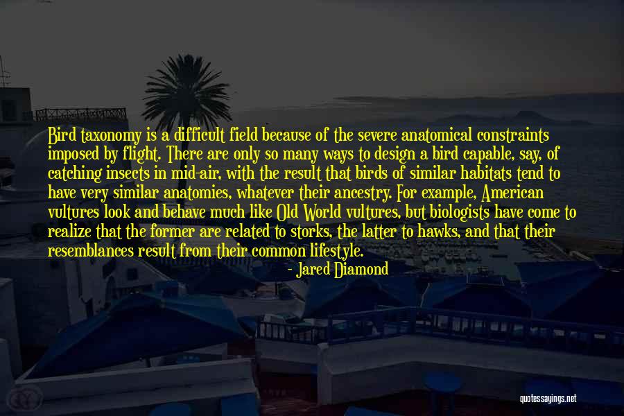 Ofrenda In English Quotes By Jared Diamond Ofrenda In English Quotes By Jared Diamond