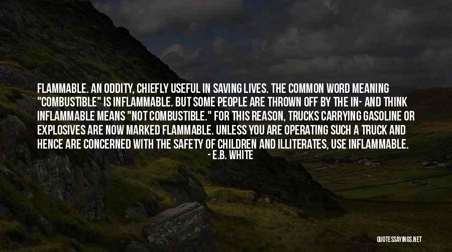 Ofsatyagraha Quotes By E.B. White Ofsatyagraha Quotes By E.B. White
