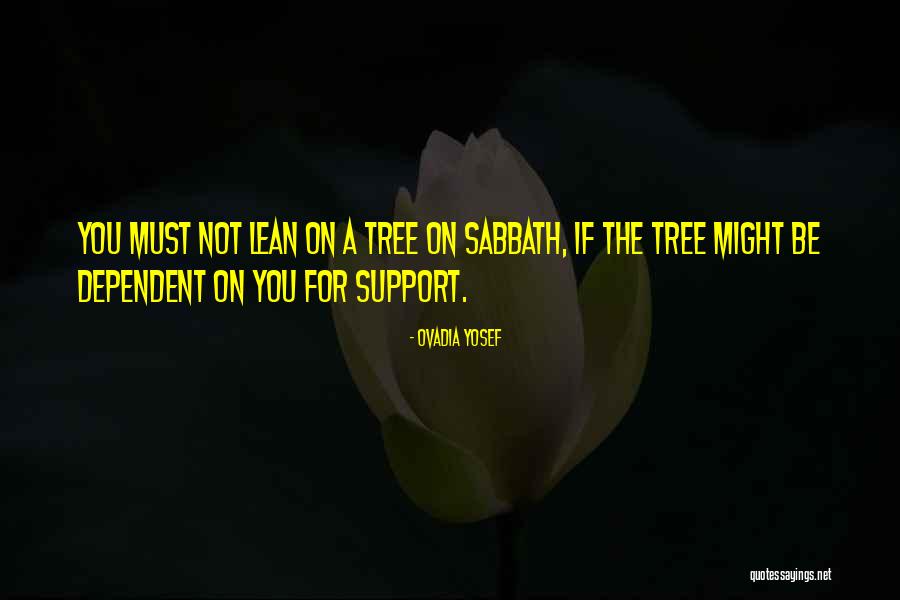 Ofschool Quotes By Ovadia Yosef