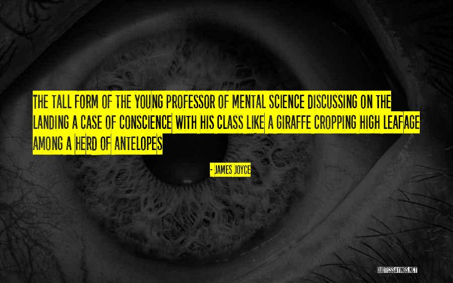 Oglers And Lang Quotes By James Joyce Oglers And Lang Quotes By James Joyce