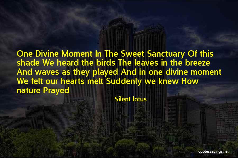 Ogodisk Quotes By Silent Lotus Ogodisk Quotes By Silent Lotus