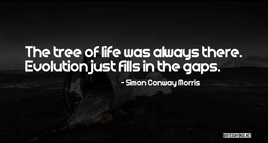 Ogp Pr Quotes By Simon Conway Morris Ogp Pr Quotes By Simon Conway Morris
