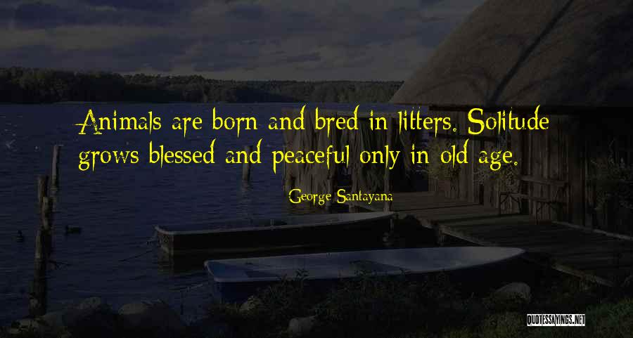 Ogren Park Quotes By George Santayana Ogren Park Quotes By George Santayana