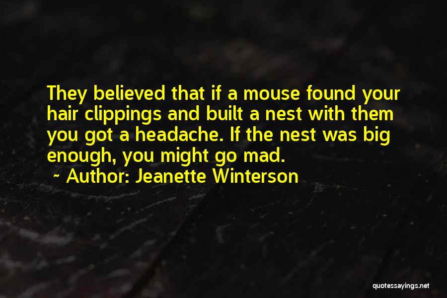 Ogundipe Stillwater Quotes By Jeanette Winterson