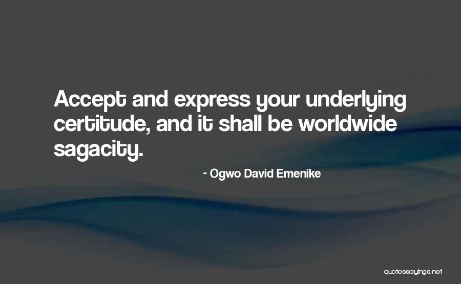 Ogwo David Emenike Quotes 1233330