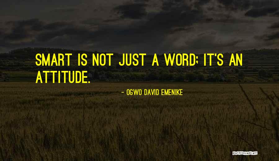 Ogwo David Emenike Quotes 1544023