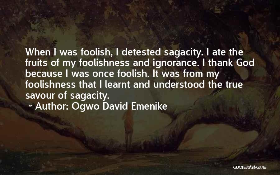Ogwo David Emenike Quotes 1847988
