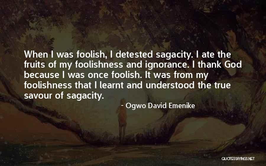 Ogwo David Emenike Quotes 1847988