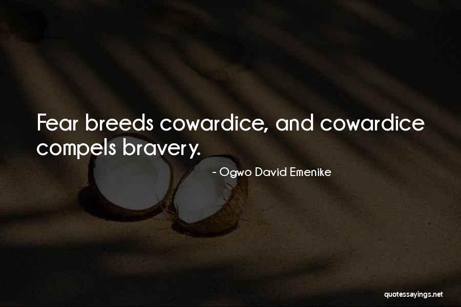 Ogwo David Emenike Quotes 1916104