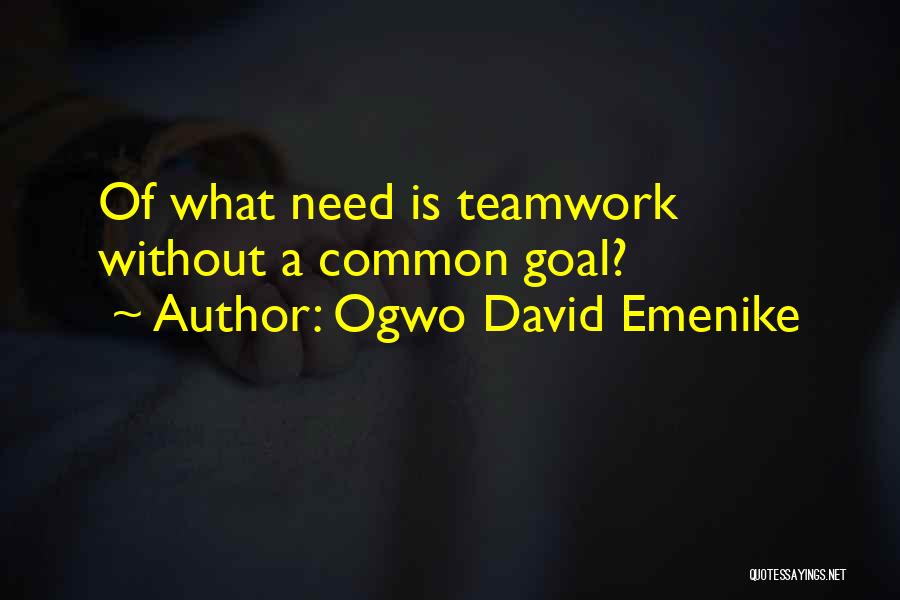 Ogwo David Emenike Quotes 1943963