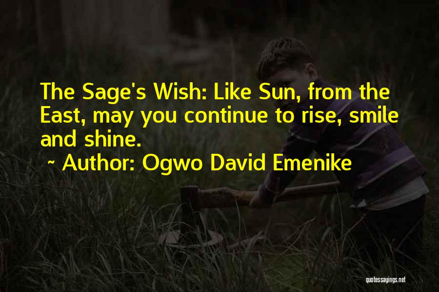 Ogwo David Emenike Quotes 257297