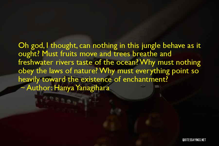Oh Behave Quotes By Hanya Yanagihara