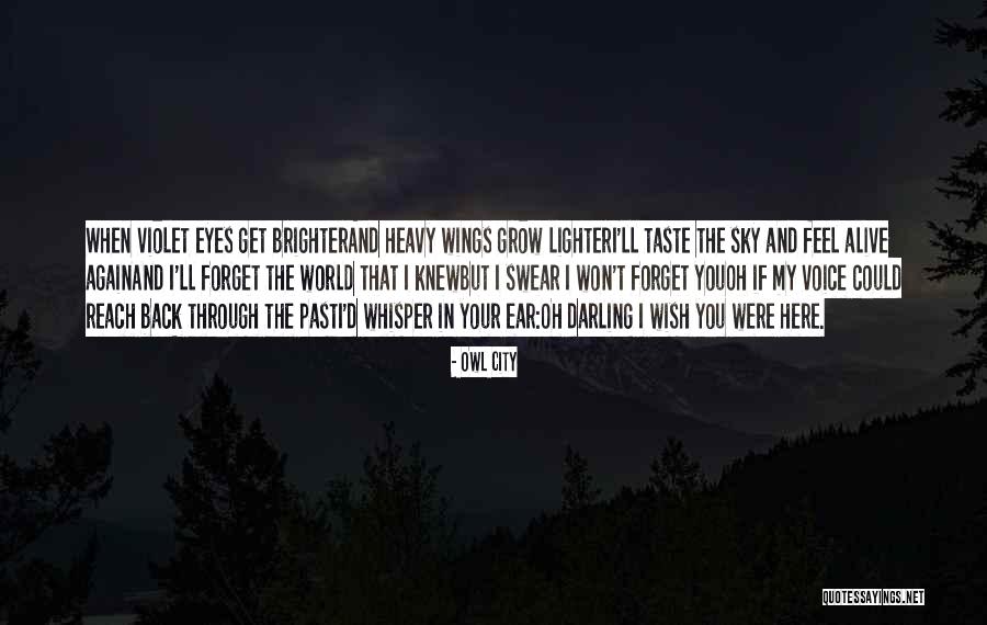 Oh But Darling Quotes By Owl City Oh But Darling Quotes By Owl City