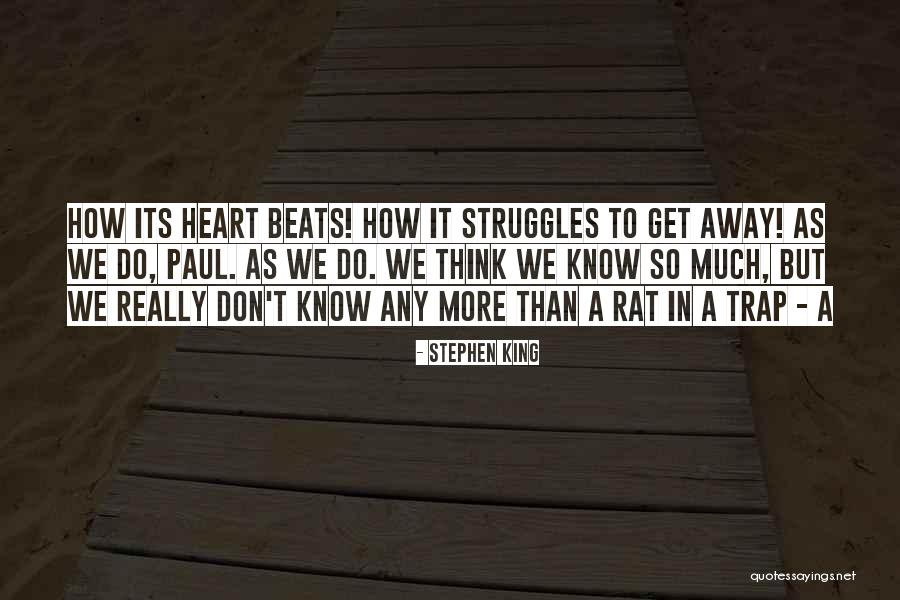 Ohabolana Quotes By Stephen King Ohabolana Quotes By Stephen King