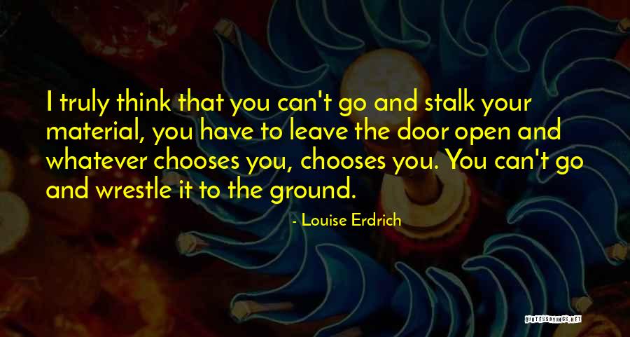 Ohgar Quotes By Louise Erdrich Ohgar Quotes By Louise Erdrich