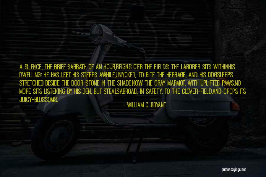 O'higgins Quotes By William C. Bryant