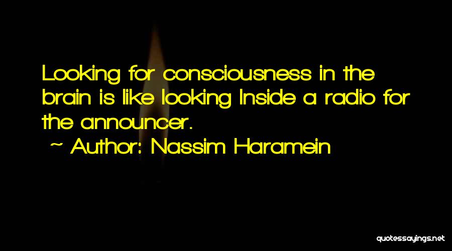 Ohliger James Quotes By Nassim Haramein