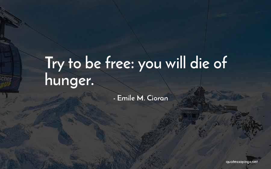 Ohmaes Five Stages Quotes By Emile M. Cioran