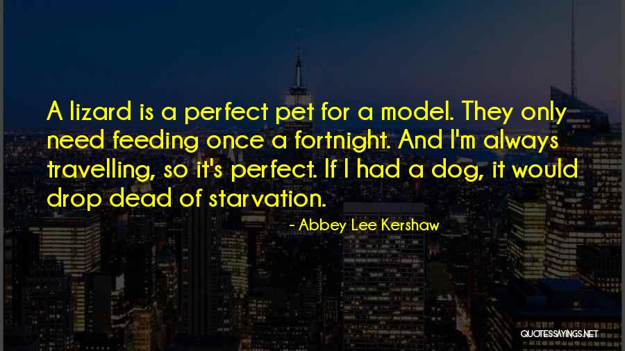 Ohra Car Quotes By Abbey Lee Kershaw Ohra Car Quotes By Abbey Lee Kershaw