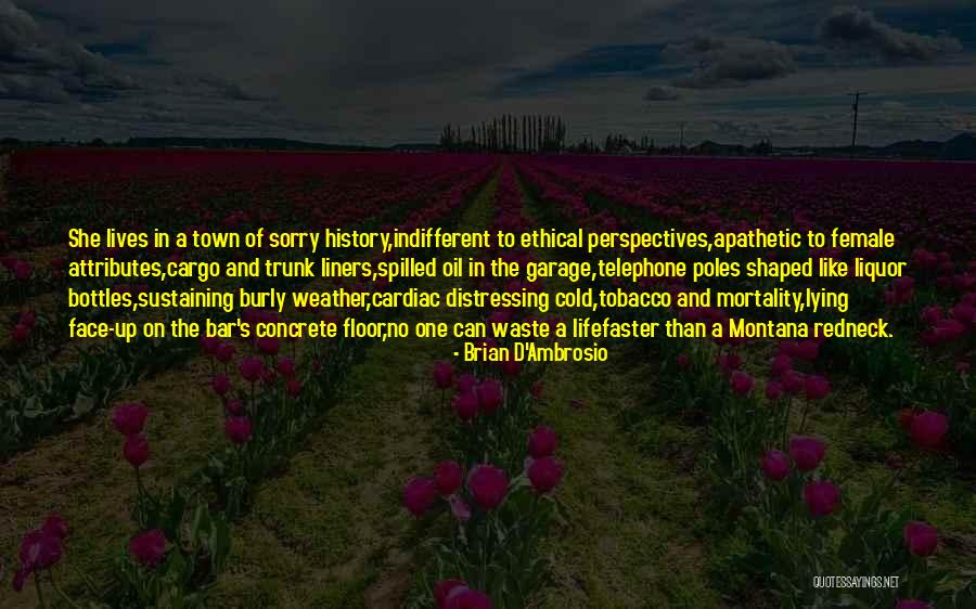 Oil Cargo Quotes By Brian D'Ambrosio Oil Cargo Quotes By Brian D'Ambrosio
