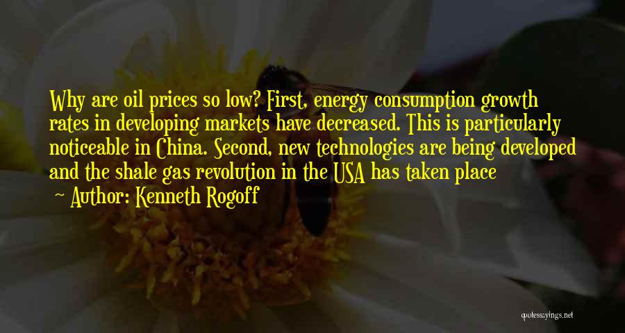 Oil Consumption Quotes By Kenneth Rogoff