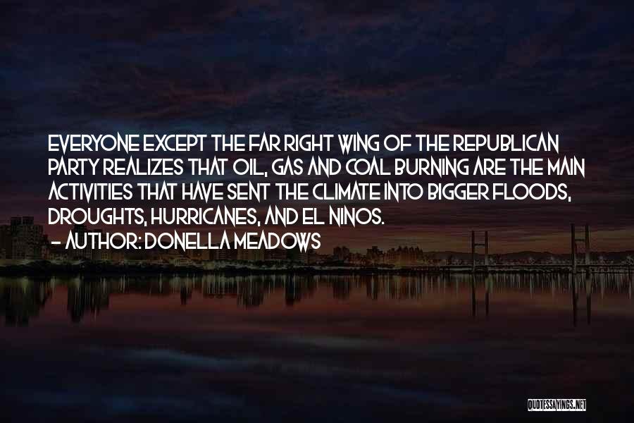 Oil & Gas Quotes By Donella Meadows