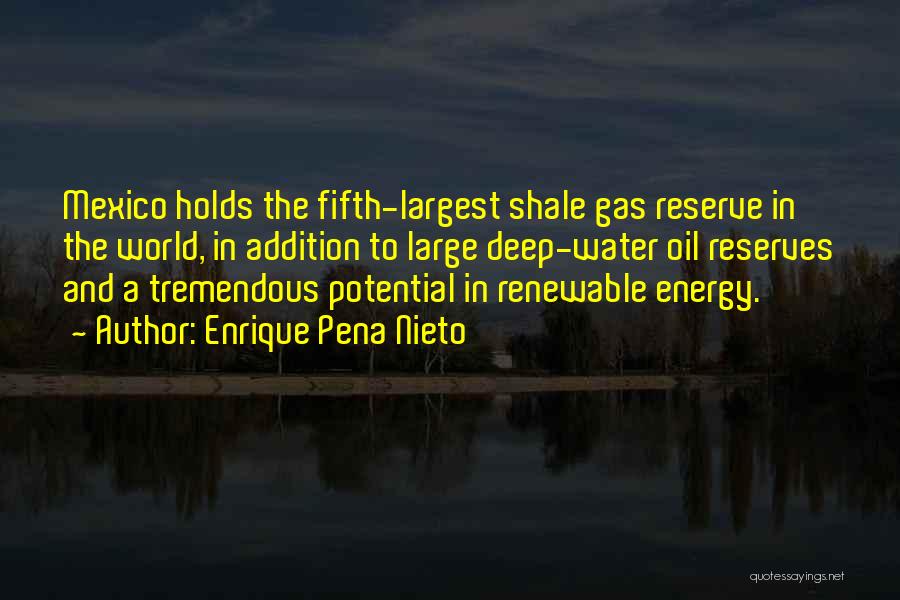 Oil & Gas Quotes By Enrique Pena Nieto