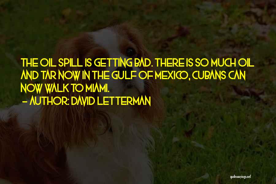Oil Spill Quotes By David Letterman