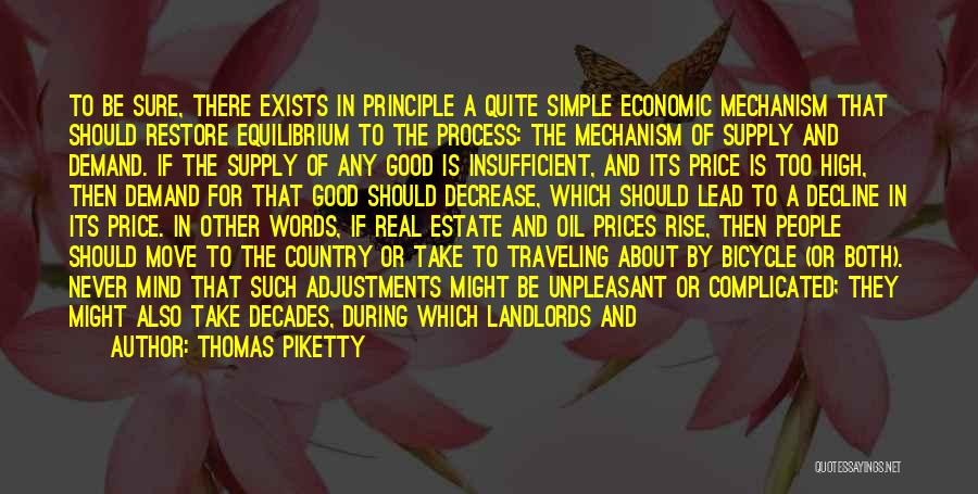 Oil Well Quotes By Thomas Piketty