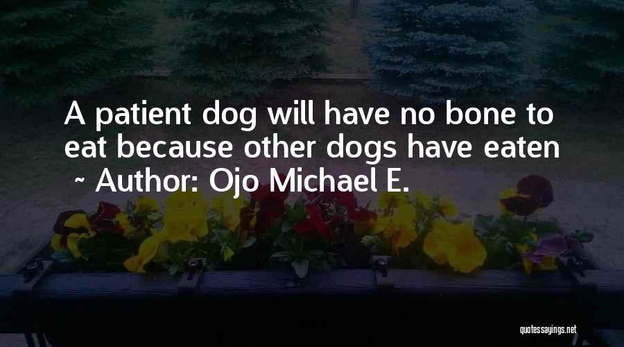 Ojo Michael E. Quotes 195743