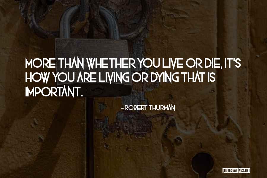 Ojos Watertown Ct Quotes By Robert Thurman Ojos Watertown Ct Quotes By Robert Thurman
