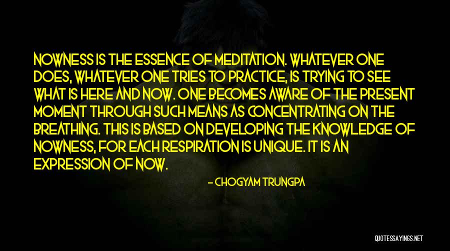 Ok Matsepe Quotes By Chogyam Trungpa Ok Matsepe Quotes By Chogyam Trungpa