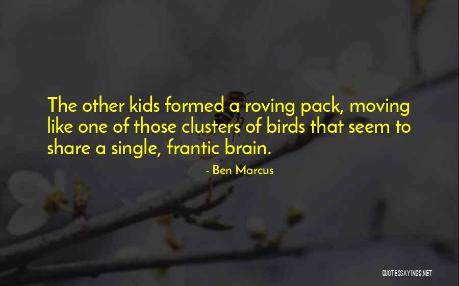 Okaaaaayyy Quotes By Ben Marcus Okaaaaayyy Quotes By Ben Marcus