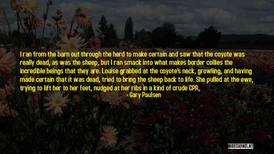 Okayasu Rubber Quotes By Gary Paulsen Okayasu Rubber Quotes By Gary Paulsen