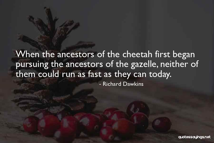 Okaz Motors Quotes By Richard Dawkins Okaz Motors Quotes By Richard Dawkins