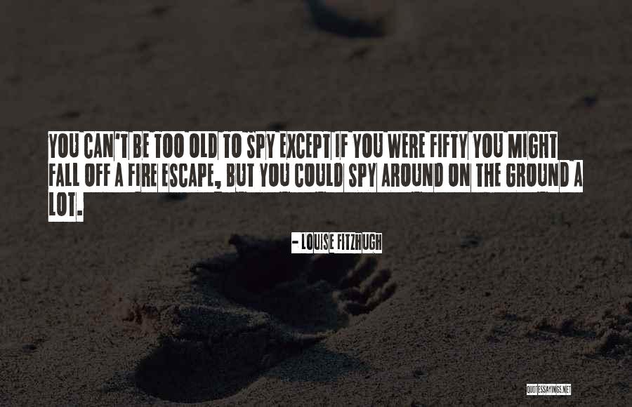 Okejvd Quotes By Louise Fitzhugh Okejvd Quotes By Louise Fitzhugh