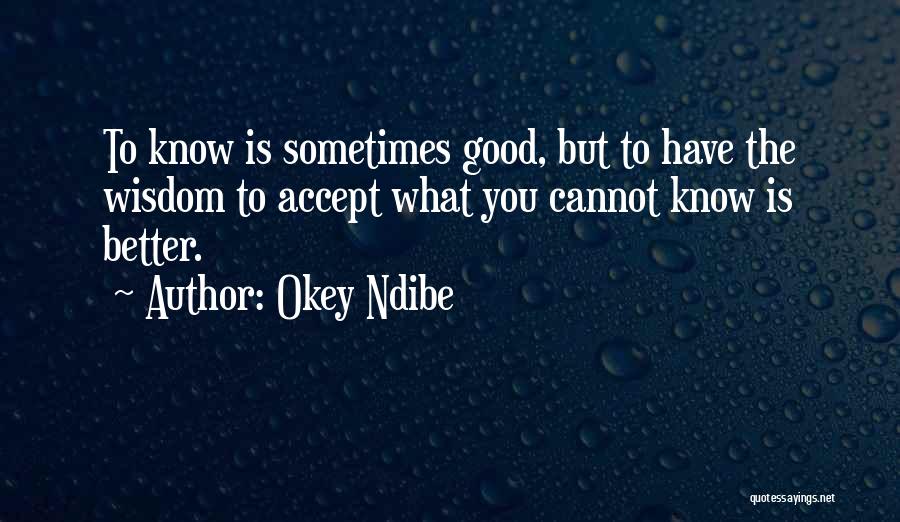 Okey Ndibe Quotes 575434