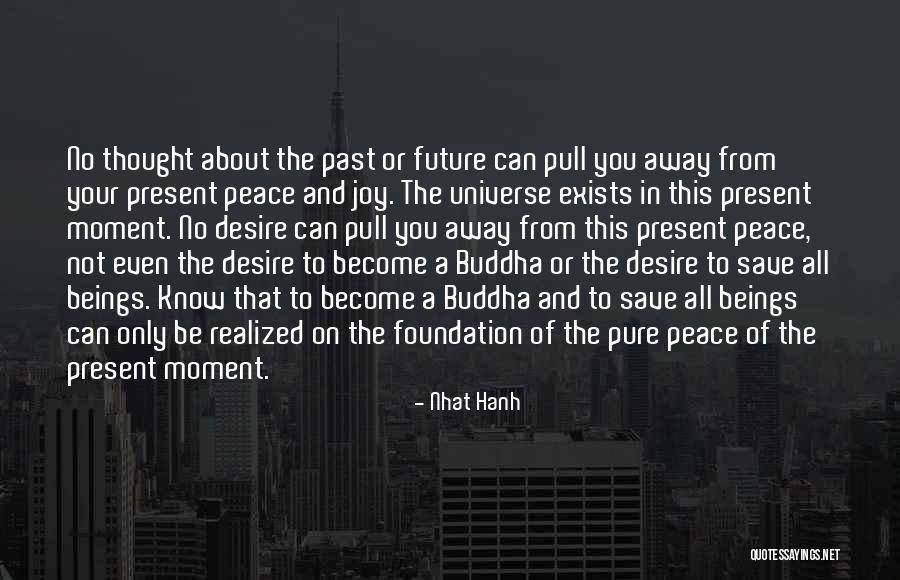 Oklop Kornjace Quotes By Nhat Hanh Oklop Kornjace Quotes By Nhat Hanh