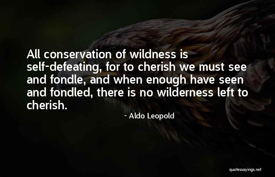 Okna Windows Quotes By Aldo Leopold Okna Windows Quotes By Aldo Leopold