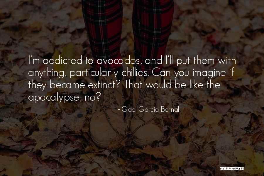 Okolo Trebone Quotes By Gael Garcia Bernal Okolo Trebone Quotes By Gael Garcia Bernal