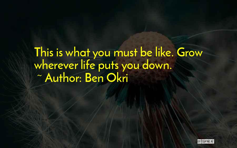 Okri Quotes By Ben Okri