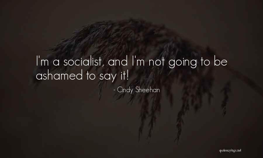 Okulda Gizli Quotes By Cindy Sheehan Okulda Gizli Quotes By Cindy Sheehan