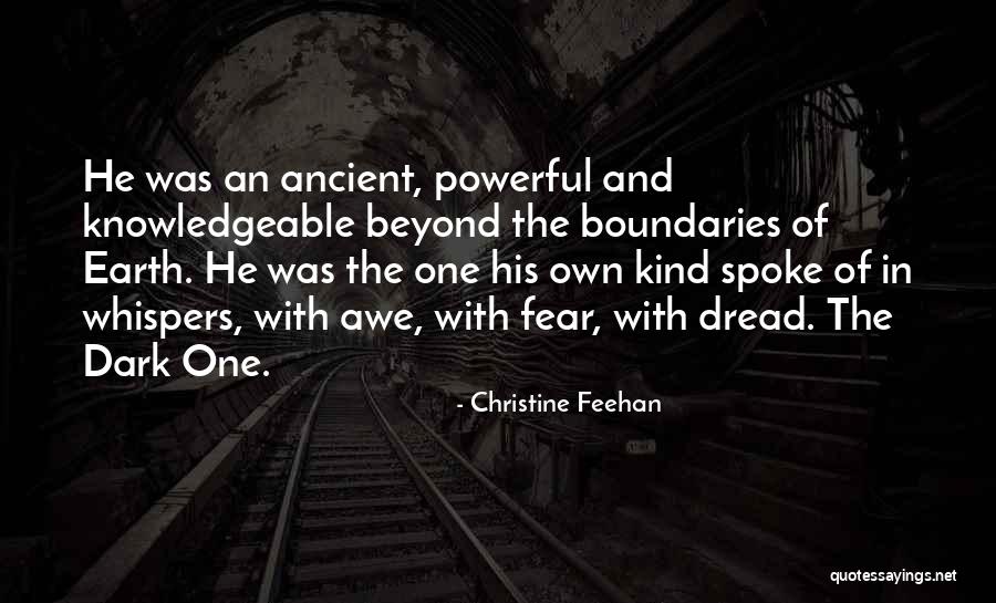Okung Football Quotes By Christine Feehan Okung Football Quotes By Christine Feehan